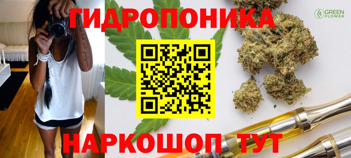 Шишки марихуана марихуана Москва